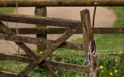 Common Fencing Mistakes and How to Avoid Them